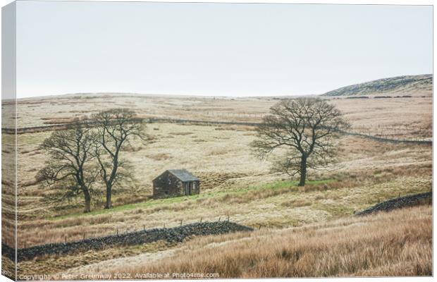 A Lonely Farm Barn In The Depths Of Winter In The  Canvas Print by Peter Greenway