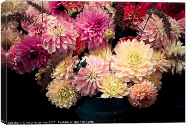 Dahlia Flowers At The RHS Wisley Flower Show Canvas Print by Peter Greenway
