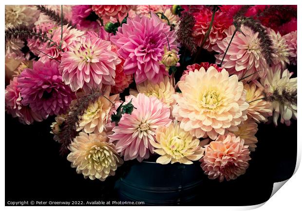 Dahlia Flowers At The RHS Wisley Flower Show Print by Peter Greenway