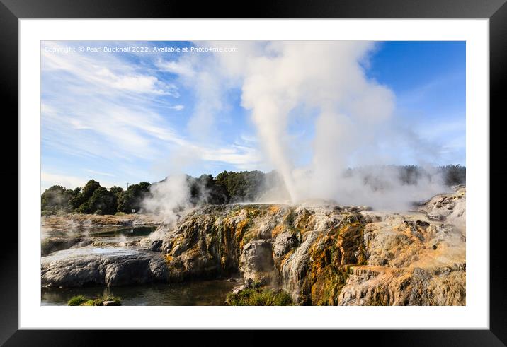 Rotorua Geothermal Geysers New Zealand Framed Mounted Print by Pearl Bucknall