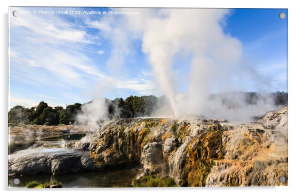 Rotorua Geothermal Geysers New Zealand Acrylic by Pearl Bucknall
