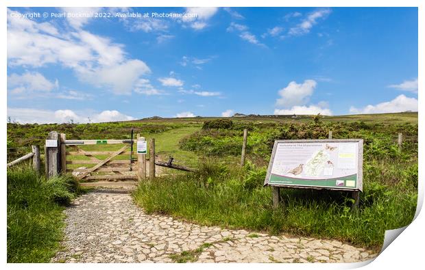 Path to Stiperstones Shropshire Print by Pearl Bucknall