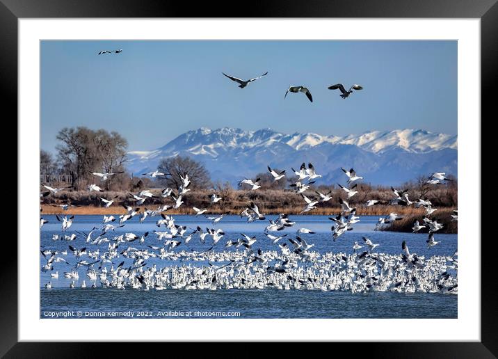 Snow on the Water Framed Mounted Print by Donna Kennedy