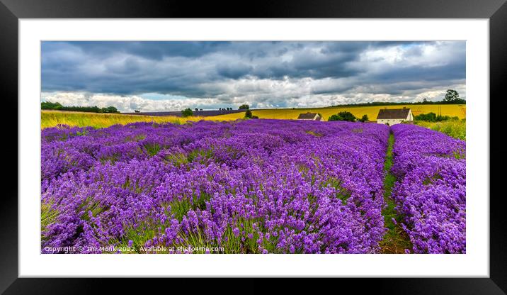 Cotswolds Lavender, Worcestershire Framed Mounted Print by Jim Monk
