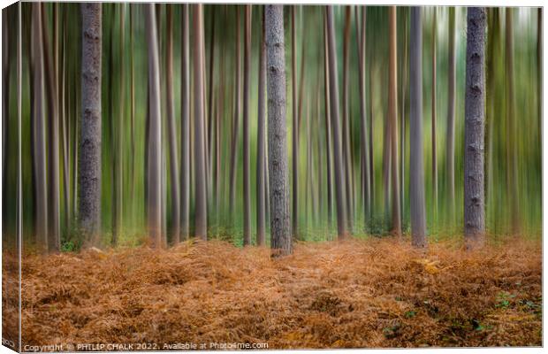 Abstract blurred woodland  714 Canvas Print by PHILIP CHALK