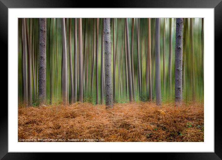 Abstract blurred woodland  714 Framed Mounted Print by PHILIP CHALK