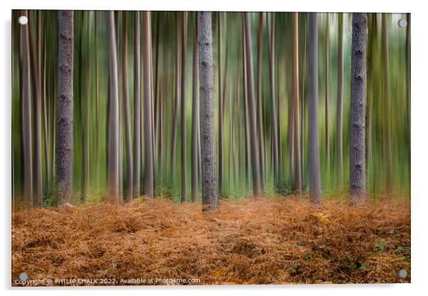 Abstract blurred woodland  714 Acrylic by PHILIP CHALK
