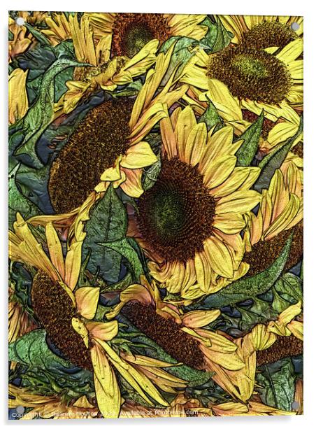 Golden Sunflowers Acrylic by Deanne Flouton