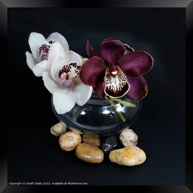 White & purple Cymbidium orchids; (Boat Orchid) in a glass vase  Framed Print by Geoff Childs
