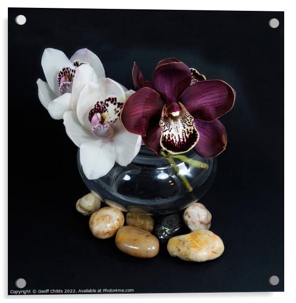 White & purple Cymbidium orchids; (Boat Orchid) in a glass vase  Acrylic by Geoff Childs