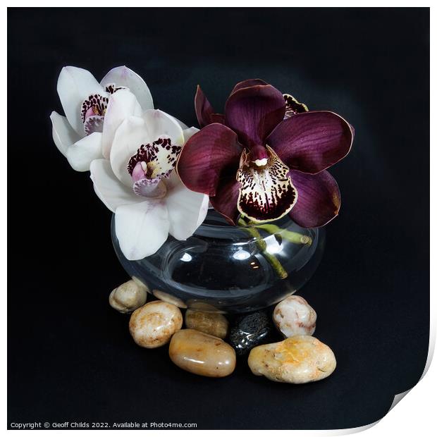 White & purple Cymbidium orchids; (Boat Orchid) in a glass vase  Print by Geoff Childs