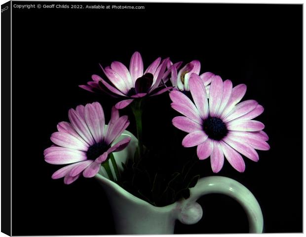 Pink and white African Daisy flower in a vase isol Canvas Print by Geoff Childs