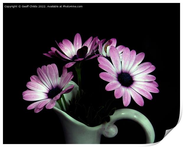 Pink and white African Daisy flower in a vase isol Print by Geoff Childs