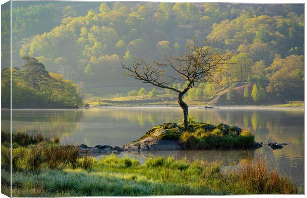 First light at Rydal Water Canvas Print by Michael Brookes