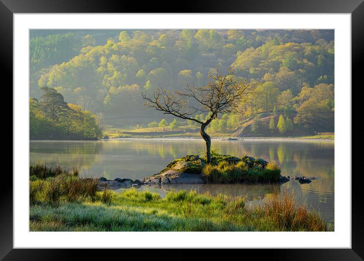 First light at Rydal Water Framed Mounted Print by Michael Brookes