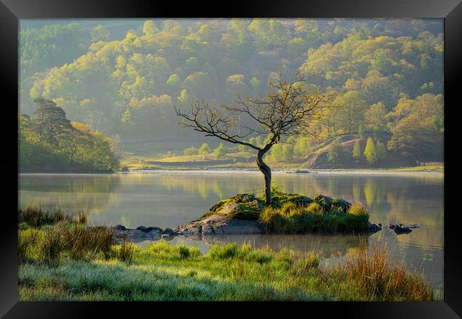 First light at Rydal Water Framed Print by Michael Brookes