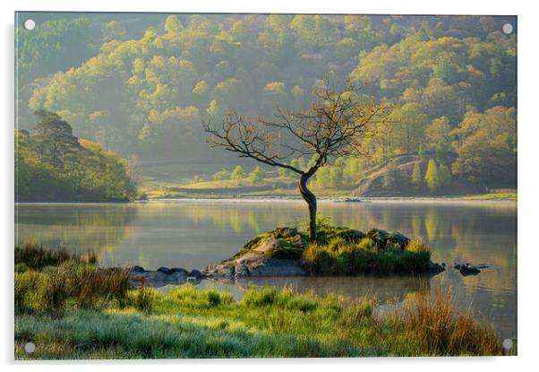 First light at Rydal Water Acrylic by Michael Brookes