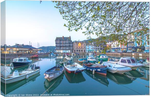 Dartmouth harbour  Canvas Print by Ian Stone