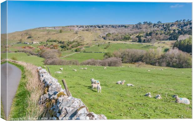 Clints Scar and Orgate Farm from Skelton Lane Canvas Print by Richard Laidler