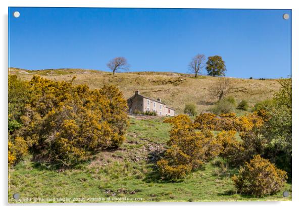 Orgate Farm, Marske, North Yorkshire Acrylic by Richard Laidler