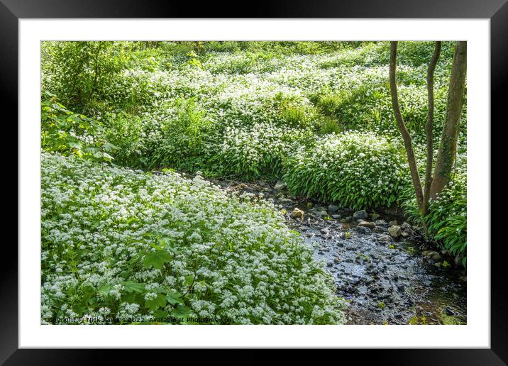 Ramsons or Wild Garlic in April Springtime Wood Framed Mounted Print by Nick Jenkins