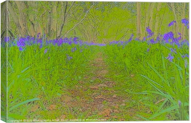 Bluebell Opening Pathway Canvas Print by GJS Photography Artist