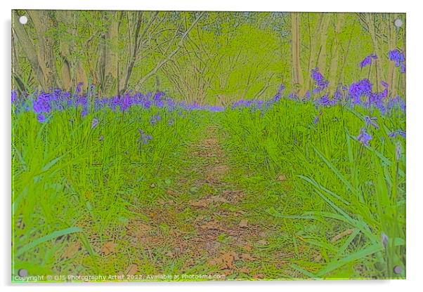 Bluebell Opening Pathway Acrylic by GJS Photography Artist
