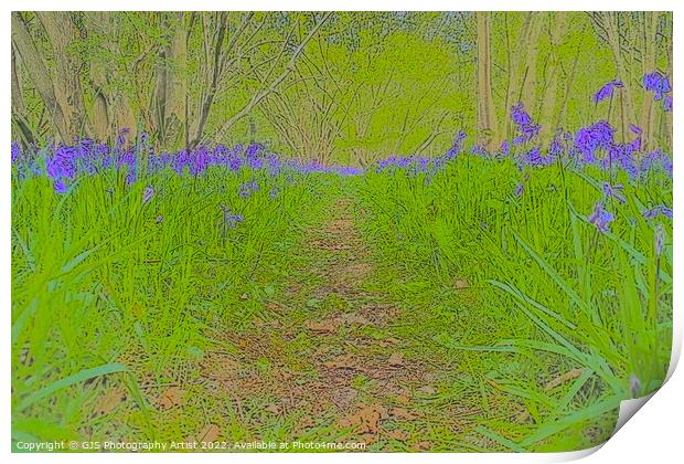 Bluebell Opening Pathway Print by GJS Photography Artist