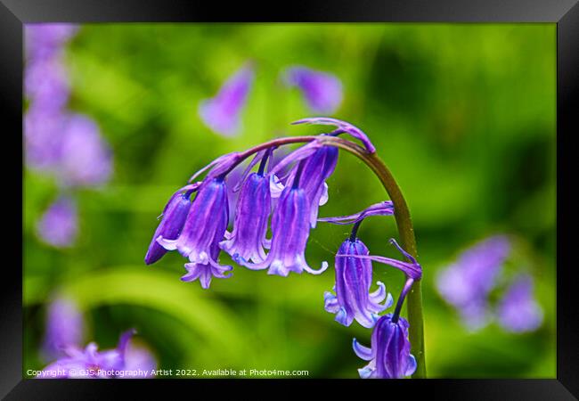 Picture Perfect Framed Print by GJS Photography Artist