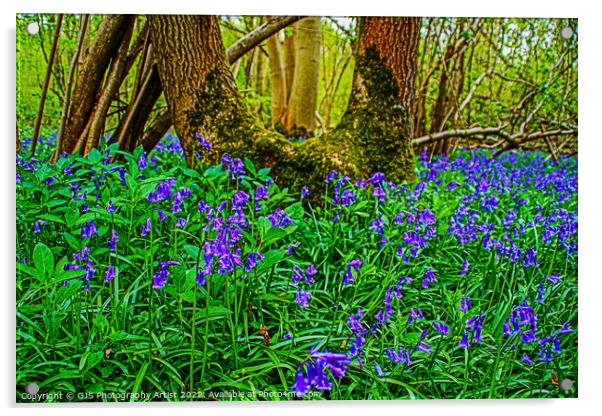 Bluebells and the U Shaped Tree Acrylic by GJS Photography Artist