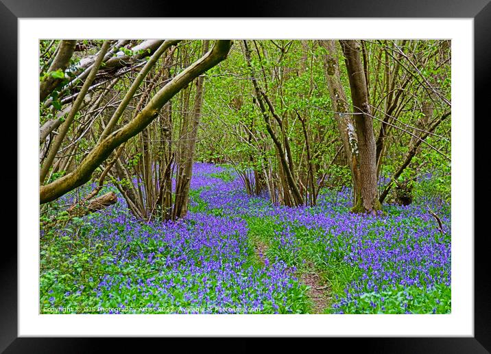 Twisting Pathway Laden with Bluebells Framed Mounted Print by GJS Photography Artist