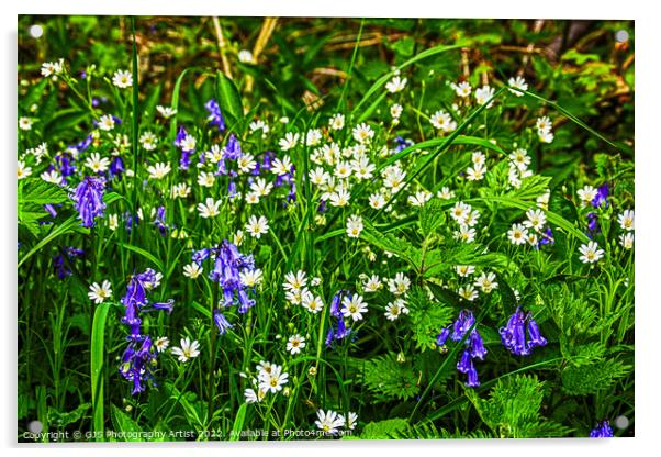 Daysies and Bluebells Acrylic by GJS Photography Artist