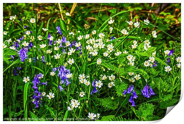Daysies and Bluebells Print by GJS Photography Artist