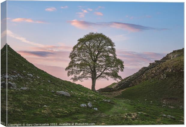 Sycamore Gap under Clouds Canvas Print by Gary Clarricoates