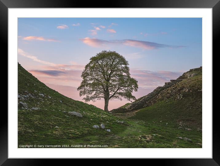 Sycamore Gap under Clouds Framed Mounted Print by Gary Clarricoates