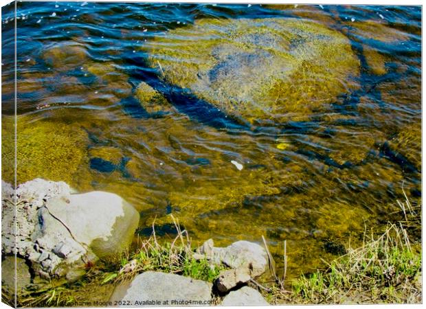 Rocks in the river Canvas Print by Stephanie Moore