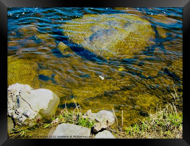 Rocks in the river Framed Print by Stephanie Moore