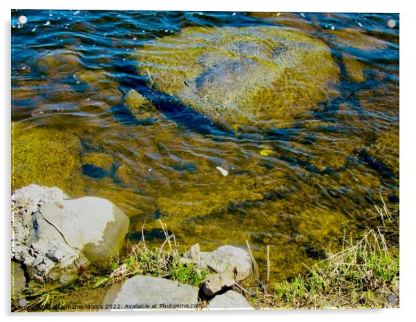 Rocks in the river Acrylic by Stephanie Moore