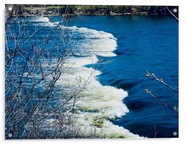 Rideau River Rapids Acrylic by Stephanie Moore