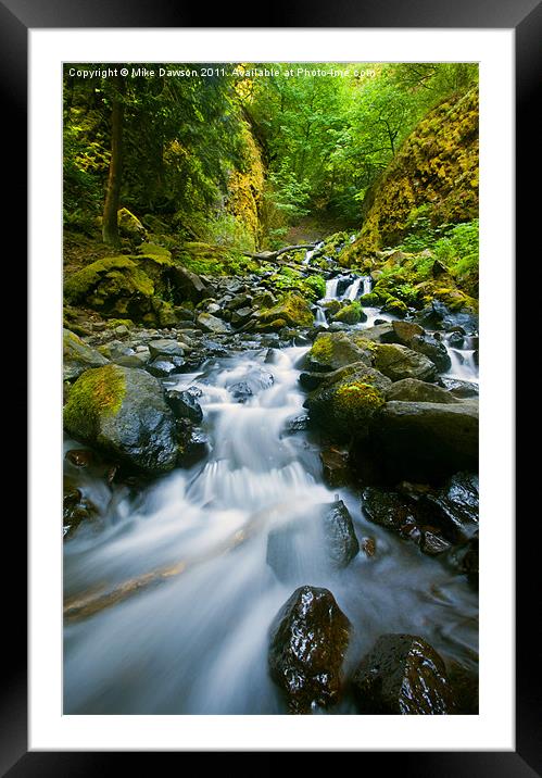 Starvation Creek Falls Framed Mounted Print by Mike Dawson