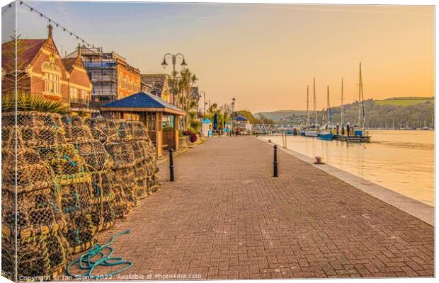Dartmouth quayside and promenade  Canvas Print by Ian Stone
