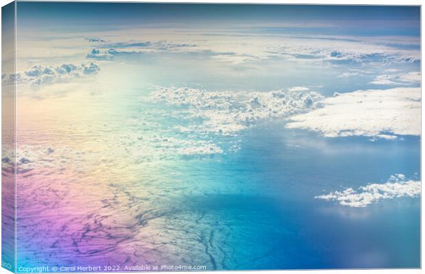 Earth From Above Canvas Print by Carol Herbert