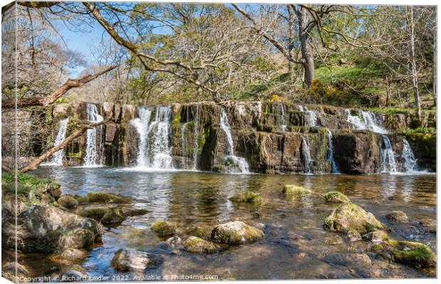 Orgate Force Waterfall in Spring Sunshine (1) Canvas Print by Richard Laidler