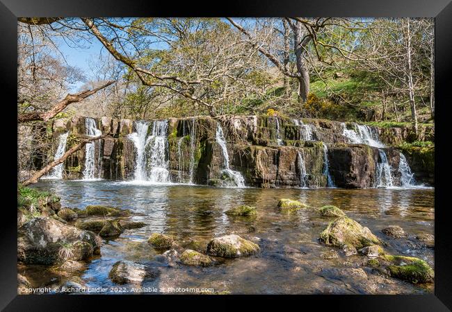 Orgate Force Waterfall in Spring Sunshine (1) Framed Print by Richard Laidler