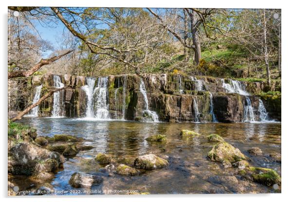 Orgate Force Waterfall in Spring Sunshine (1) Acrylic by Richard Laidler