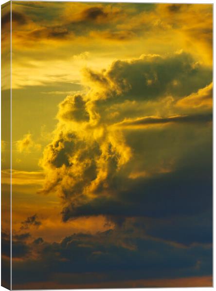 Large cumulus cloud Canvas Print by Rory Hailes