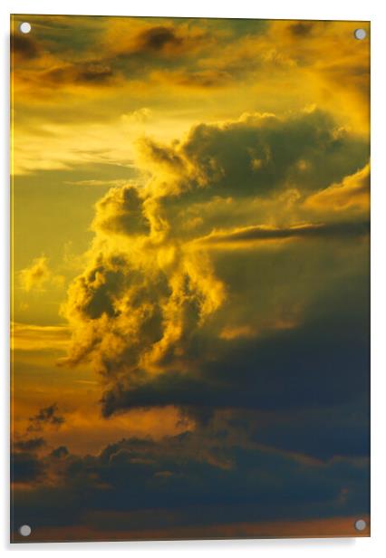 Large cumulus cloud Acrylic by Rory Hailes