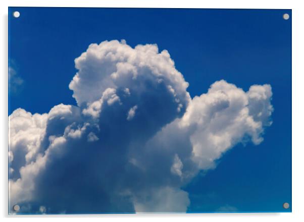 Cumulus cloud Acrylic by Rory Hailes