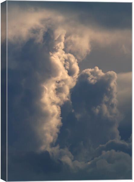 Cumulus cloud tower Canvas Print by Rory Hailes
