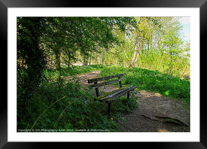 A Bench at Hoe Rough Framed Mounted Print by GJS Photography Artist